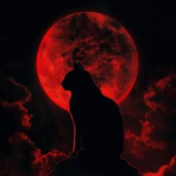 Moon - Single. Передняя обложка. Нажмите, чтобы увеличить.