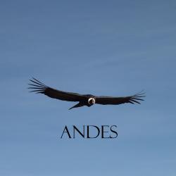 Memorias de los Andes Original Soundtrack. Передняя обложка. Нажмите, чтобы увеличить.