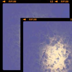 the bread is poison - Single. Передняя обложка. Нажмите, чтобы увеличить.