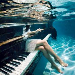 Dwndwr Brown. Передняя обложка. Нажмите, чтобы увеличить.