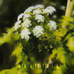 Memorias del Fin - Single