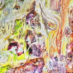 A Villager's Tale - Single. Передняя обложка. Нажмите, чтобы увеличить.