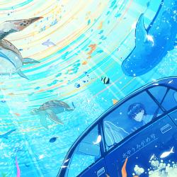 Sea Turtle 2025 Ver. - Single. Передняя обложка. Нажмите, чтобы увеличить.