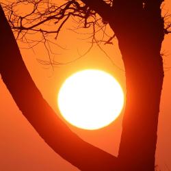 Sítio da Duquinha Aimorés/MG - Single. Передняя обложка. Нажмите, чтобы увеличить.