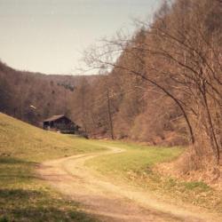 La danza degli agnelli - EP. Передняя обложка. Нажмите, чтобы увеличить.