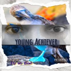 Fly so fine - Single. Передняя обложка. Нажмите, чтобы увеличить.