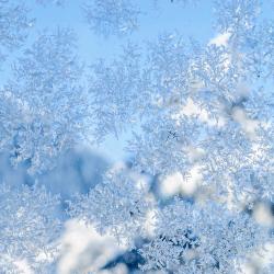 Snowflake Slowed & Reverb - Single. Передняя обложка. Нажмите, чтобы увеличить.