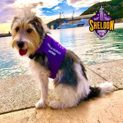 Huellas en el Asfalto - Single. Передняя обложка. Нажмите, чтобы увеличить.