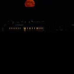 Africa kingdom instrumental - Single. Передняя обложка. Нажмите, чтобы увеличить.