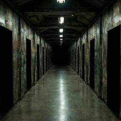 The Abyssal Corridors - Single. Передняя обложка. Нажмите, чтобы увеличить.