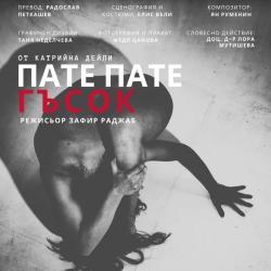 Duck Duck Goose theater music. Передняя обложка. Нажмите, чтобы увеличить.