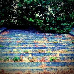 Lépések - Single. Передняя обложка. Нажмите, чтобы увеличить.