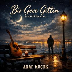Bir Gece Gittin Enstrümantal - Single. Передняя обложка. Нажмите, чтобы увеличить. Bir Gece Gittin Enstrümantal - Single. Передняя обложка. Нажмите, чтобы увеличить.