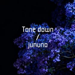 Tone Down - Single. Передняя обложка. Нажмите, чтобы увеличить.