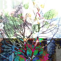 Botanic Panic. Передняя обложка. Нажмите, чтобы увеличить.