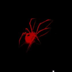 So Innocent feat. DJ Fronteo - Single. Передняя обложка. Нажмите, чтобы увеличить.