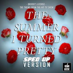 Drivers License From 