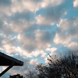 Spoiled feat. RIME - Single. Передняя обложка. Нажмите, чтобы увеличить.