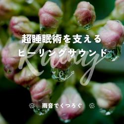 Deep Sleep Technique Support - Healing Sounds With Rain Comfort. Передняя обложка. Нажмите, чтобы увеличить.