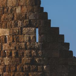 WiFi En La Selva - Single. Передняя обложка. Нажмите, чтобы увеличить.