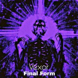 Final Form - Single. Передняя обложка. Нажмите, чтобы увеличить.