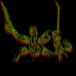 Anguished Death - Single. Передняя обложка. Нажмите, чтобы увеличить.