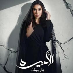 El Amira. Передняя обложка. Нажмите, чтобы увеличить.