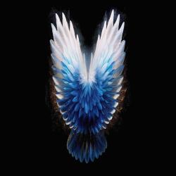 Facts Undetermined - EP. Передняя обложка. Нажмите, чтобы увеличить.