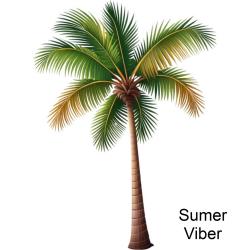 Sumer Viber - Single. Передняя обложка. Нажмите, чтобы увеличить.