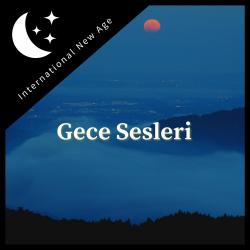 Gece Sesleri: Gün Batımından Sonra Doğa Sesleri. Передняя обложка. Нажмите, чтобы увеличить.