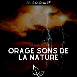 Orage Sons de la nature. Передняя обложка. Нажмите, чтобы увеличить.