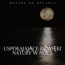 Uspokajające Dźwięki Natury w Nocy. Передняя обложка. Нажмите, чтобы увеличить.
