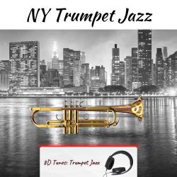 NY Trumpet Jazz 8D Audio. Передняя обложка. Нажмите, чтобы увеличить.