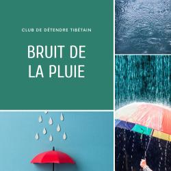 Bruit de la pluie. Передняя обложка. Нажмите, чтобы увеличить.