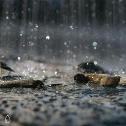 Audio Textures of Rain. Передняя обложка. Нажмите, чтобы увеличить.