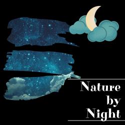 Nature by Night. Передняя обложка. Нажмите, чтобы увеличить.