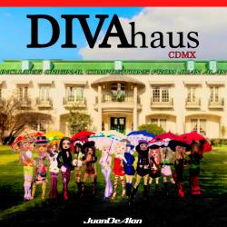 The DIVAhaus Novel Soundtrack. Передняя обложка. Нажмите, чтобы увеличить.