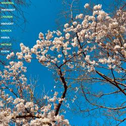 What If All Your Dreams Came True - Single. Передняя обложка. Нажмите, чтобы увеличить.