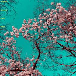 Cherry Blossom Originals. Передняя обложка. Нажмите, чтобы увеличить.