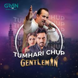 Tumhari Chup From 