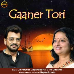 Gaaner Tori. Передняя обложка. Нажмите, чтобы увеличить. Gaaner Tori. Передняя обложка. Нажмите, чтобы увеличить.