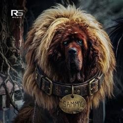 Sammy Soundtrack. Передняя обложка. Нажмите, чтобы увеличить. Sammy Soundtrack. Передняя обложка. Нажмите, чтобы увеличить.