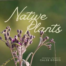 Native Plants - EP. Передняя обложка. Нажмите, чтобы увеличить. Native Plants - EP. Передняя обложка. Нажмите, чтобы увеличить.