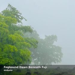 Fogbound Dawn Beneath Fuji Hpl Binaural. Передняя обложка. Нажмите, чтобы увеличить. Fogbound Dawn Beneath Fuji Hpl Binaural. Передняя обложка. Нажмите, чтобы увеличить.