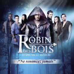 Robin des Bois Edition du spectacle. Передняя обложка. Нажмите, чтобы увеличить. Robin des Bois Edition du spectacle. Передняя обложка. Нажмите, чтобы увеличить.