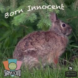 Born Innocent Original Soundtrack - EP. Передняя обложка. Нажмите, чтобы увеличить. Born Innocent Original Soundtrack - EP. Передняя обложка. Нажмите, чтобы увеличить.