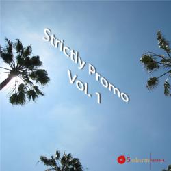 Strictly Promo Vol. 1. Передняя обложка. Нажмите, чтобы увеличить. Strictly Promo Vol. 1. Передняя обложка. Нажмите, чтобы увеличить.