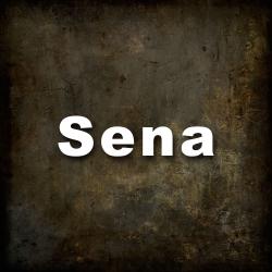 Sena Original Motion Picture Soundtrack. Передняя обложка. Нажмите, чтобы увеличить. Sena Original Motion Picture Soundtrack. Передняя обложка. Нажмите, чтобы увеличить.