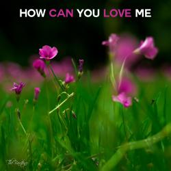 How Can You Love Me - Single. Передняя обложка. Нажмите, чтобы увеличить. How Can You Love Me - Single. Передняя обложка. Нажмите, чтобы увеличить.