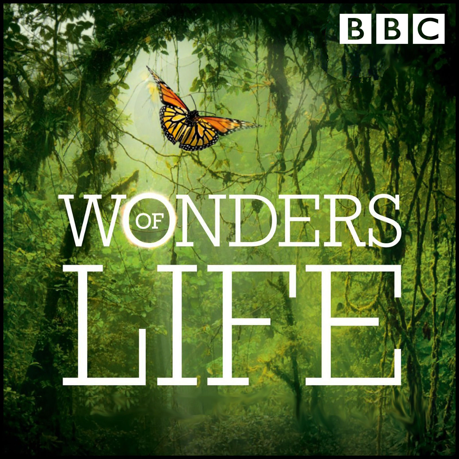 Life is wonder. Дэвид Швайтцер альбомы. Wonders of Life. Чудес в жизни. RMB - Wonders of Life.